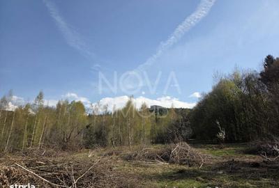 Spațiu comercial, în Viștișoara - 7