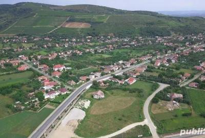 Casă în Păuliș - 6