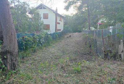 Teren de 3750 mp, în Teișani - 4