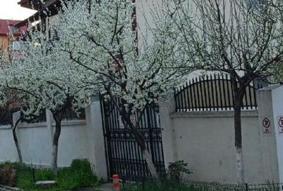 Casă individuală cu 5 camere cu Teren 380 Mp în Unirii Sud - 3