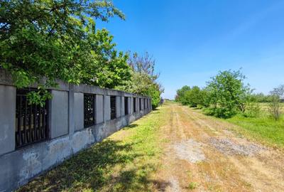 Teren Construcții intravilan de 1800 mp, în Domnești - 3