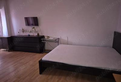 Garsonieră decomandată în Timpuri Noi