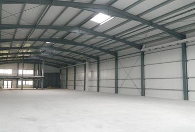 Hala noua productie / depozitare ,1000 mp , zona Aradului - 2