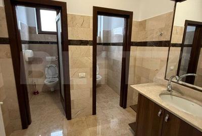Spațiu comercial, de 250 mp, în Elisabetin - 1