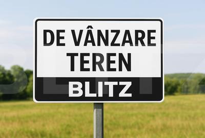 Teren intravilan de vanzare, 5.000 mp, zona Schit-Oraseni - 1