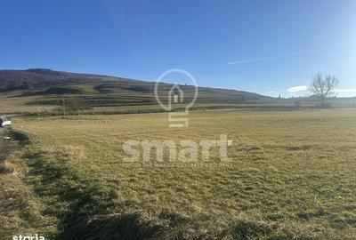 Spațiu comercial, în Petrești - 4