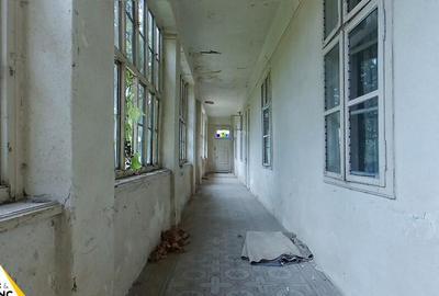 Casa traditionala din caramida de 534 mp cu 4 camere in Neudorf - 6