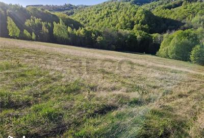 Teren de 33210 mp, în Girișu de Criș - 3