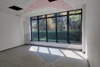 Spatiu comercial de inchiriat - 7
