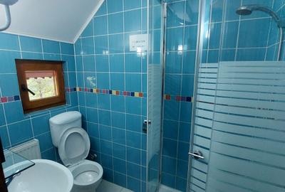 Hotel/Pensiune, de 6 mp, în Lepșa - 13