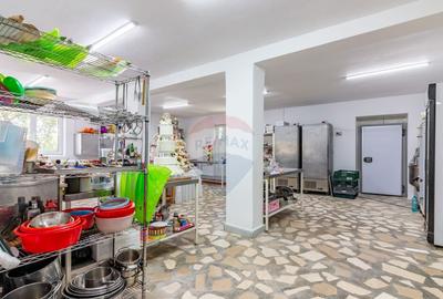 Casa+Laborator+ Teren 12.700 mp + casa de vacanta - Bolin... - 9