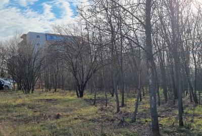 Terenuri pentru dezvoltări urbane – Prelungirea Ghencea, P+1–P+14 Terenuri pentru dezvoltări urbane – Prelungirea Ghencea, P+1–P+14 - 6