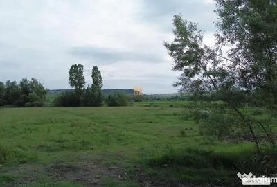 Teren de 3953 mp, în Fălticeni - 11