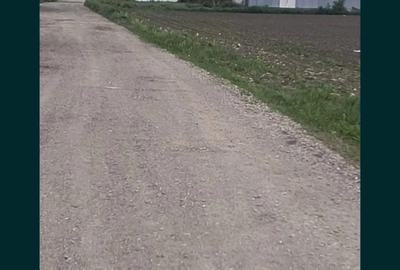 Spațiu comercial, în Holt - 4