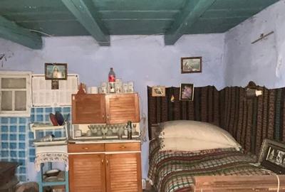 Casă cu 3 camere cu Teren 3500 Mp în Central - 2