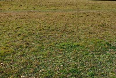 Spațiu comercial, în Sebeș - 3