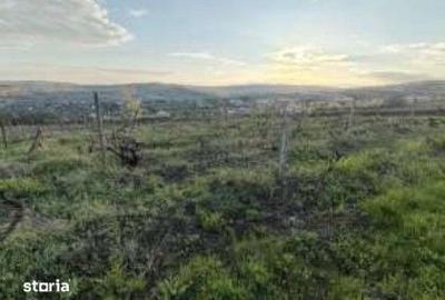 Teren de 887 mp, în Comarna - 3