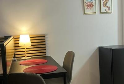 Garsoniera complet mobilata (prima inchiriere dupa renovare) - 9