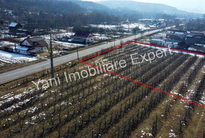 Teren de vanzare in comuna Mu?ate?ti, jude? Arge?. - 8