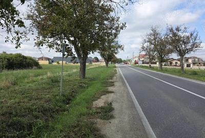 Teren de 2024 mp, în Centura - 4