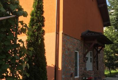 Casa pentru iubitorii de natura pe dealurile Comarnicului - 2