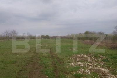 Teren intravilan, 3515 mp, zona Crevedia - 11