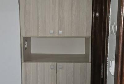 Apartament cu 2 camere decomandat în Paltin - 3