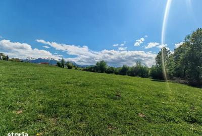 Teren de 5783 mp, în Bran