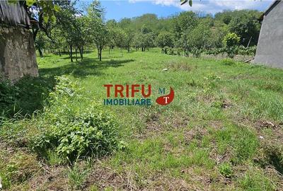 Casă cu 2 camere cu Teren 1534 Mp în Cricău - 1