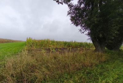 Teren intravilan, 5200mp, front 27ml, Fratautii Vechi, Radau - 2