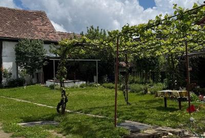Casă cu 4 camere în Lazaret - 2