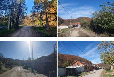 Casă cu 2 camere cu Teren 910 Mp în Dognecea - 5