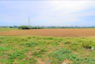OCAZIE ! EFORIE NORD, ULTIMELE 3 LOTURI, 517 MP. 19.500 EURO IDEAL INVESTITIE ! - 11