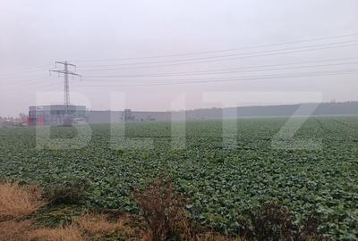 Teren intravilan , 15000mp , Zona Lido Garbea Teren intravilan , 15000mp , Zona Lido Garbea - 4