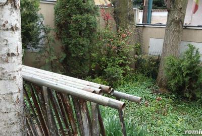 Pache Protopopescu-Agricultori-Matasari - 20