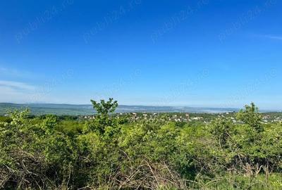Teren de 4693 mp, în Pietrăria - 1