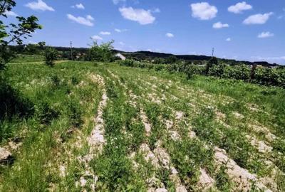 Teren extravilan 4000mp - 3