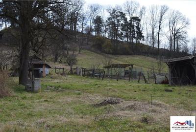 Teren de Zona Livezeni - 1