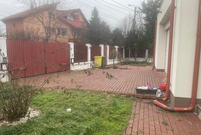 Casă individuală cu 8 camere cu Teren 1000 Mp în Iancu Nicolae - 7