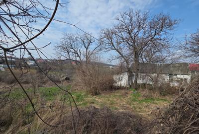 Teren Construcții intravilan de 1944 mp, în Copăcești - 4