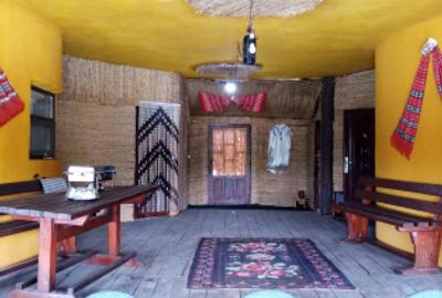 Proprietate specială, de 150 mp, în Becicherecu Mic - 3