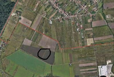 Spațiu comercial, în Giarmata - 3