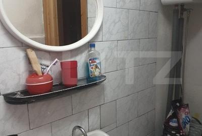 Cabana de vanzare, cu 4 camere, 100 mp, zona Piatra Fantanele - 7