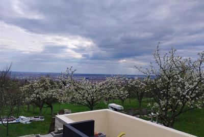 RECO TEREN INTRAVILAN ZONA DEALURI ORADEA RECO TEREN INTRAVILAN ZONA DEALURI ORADEA - 2