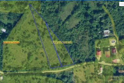 Spațiu comercial, în Boldești - 1