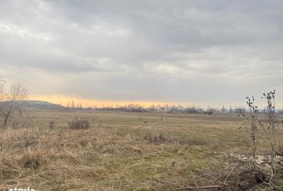 Teren de 3000 mp, în Aninoasa - 14