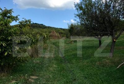 1.07 Ha in Slatinita - 7