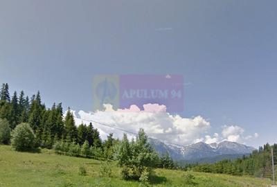 Teren de vanzare la Azuga la Partia Cazacu - 3