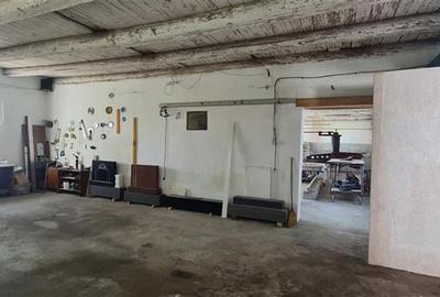 TEREN CU CLADIRI FUNCTII MULTIPLE - 7