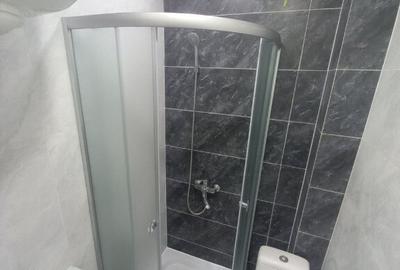 Studio in zona Timpuri noi de inchiriat - 3